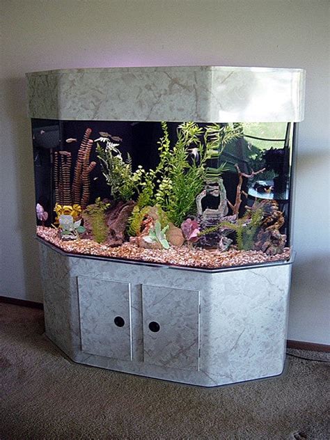 Common Aquarium Shapes - Midwest Custom Aquarium, Starbuck MN