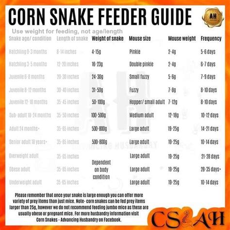 Cornsnake feeding chart required : r/cornsnakes