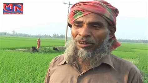 Bangladeshi farmer Bangladesh agriculture news 2016 - YouTube