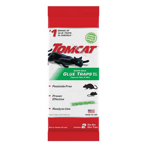 TOMCAT 2-Count Disposable Super Hold Glue Rat Trap at Lowes.com