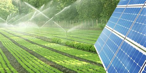 Ugandan farmers urged to use solar water pumps in agriculture - Pumps Africa