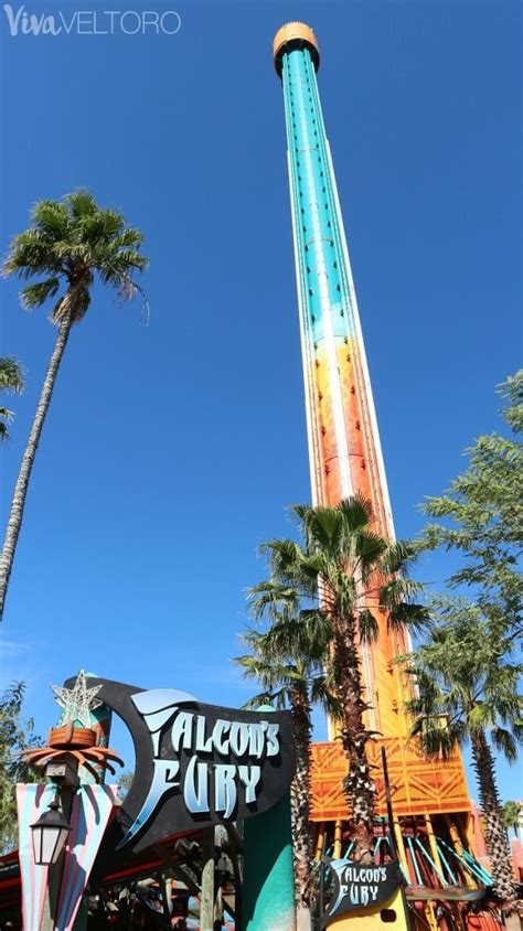 Busch Gardens Tampa - Rides and Attractions for the Whole Family