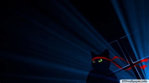 Ninja Cat Wallpaper (76+ images)