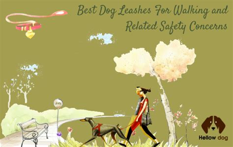 Best Dog Leashes for Walking and Safety | Hellow dog