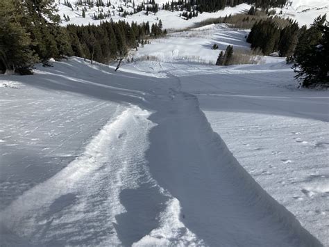 Avalanche.org » Loose snow avalanche