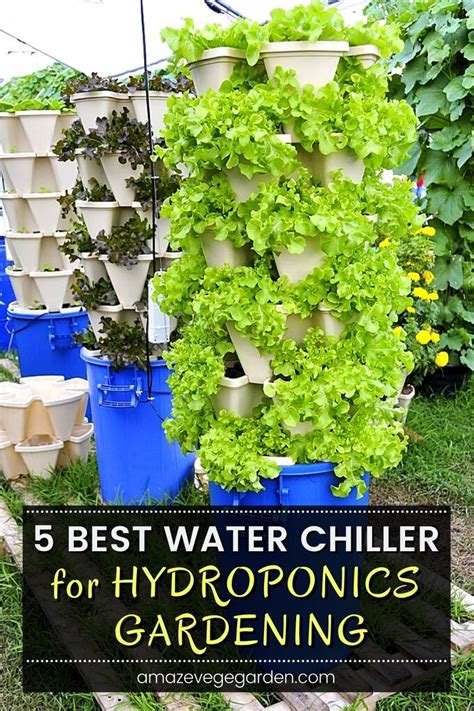 5 Best Water Chiller for Hydroponics Gardening | Hydroponics, Water ...