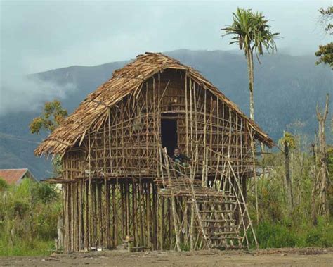 10 Contoh Gambar Gambar Dan Nama Rumah Adat Papua Barat | Images and ...