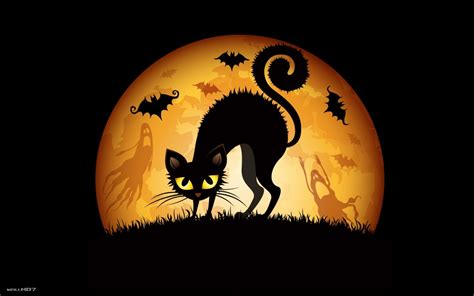 Wallpaper HD Halloween Cats bats