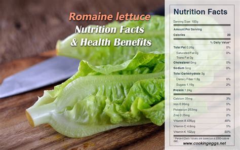 Romaine lettuce Nutrition Facts & Health Benefits - CookingEggs