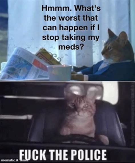 Business cat gets busy : r/memes