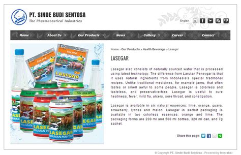 Sinde Budi Sentosa - Indonesia Web Design Agency | Indonesia Web Development | Kelapa Gading Jakarta