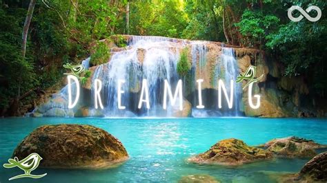 Dreaming • Relaxing Zen Music with Water Sounds for Sleep, Spa ...