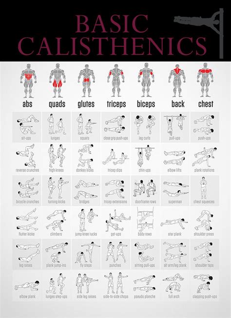 Basic Calisthenics | Calisthenics workout plan, Calesthenics workout ...