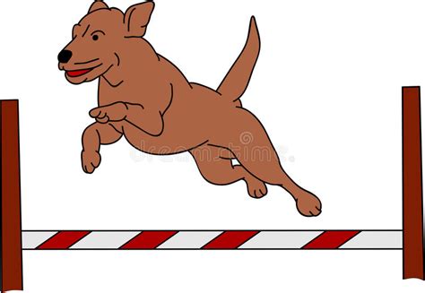 clip art dog agility 20 free Cliparts | Download images on Clipground 2024