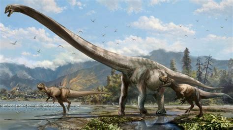 'Dragon' Dinosaur Fossil With Massive Neck Discovered in China - Good ...