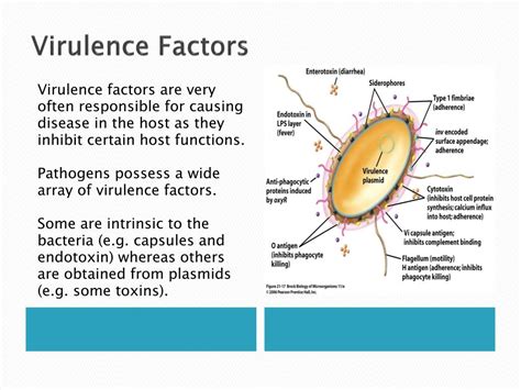 PPT - Determinants of Health and Disease PowerPoint Presentation, free ...