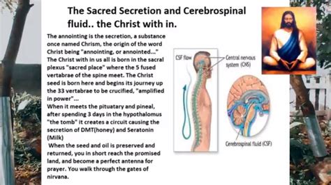 The true sacred anointing? The Chrism in your skull? The science of the ...