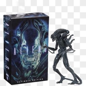 Alien Warrior 7” Ultimate Action Figure Assortment - Neca Alien Warrior ...