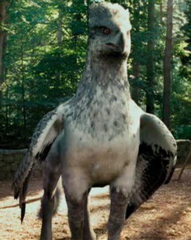 Buckbeak - Harry Potter Wiki | Harry potter wiki, Harry potter ...