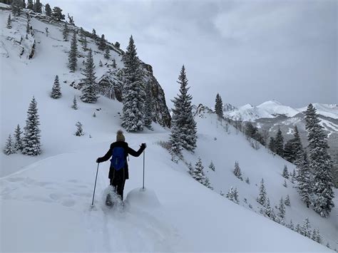 Snowshoeing near Breckenridge, CO this morning : r/winterporn