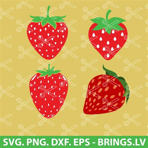 Strawberry SVG Cut File | Strawberry SVG Bundle | Fruit SVG | PNG | DXF | EPS | for Cricut and ...