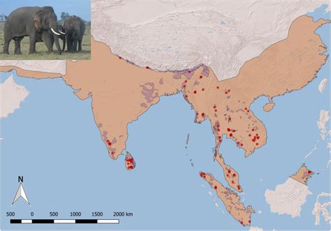 Asian Elephant Habitat Loss