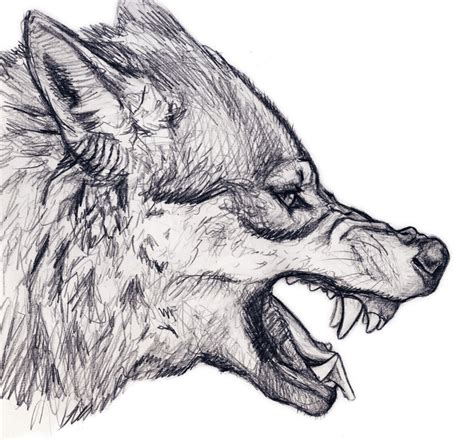 wolves – silvercrossfox