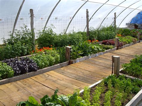 Greenhouse For Gardening Vegetables at Loretta Bradley blog