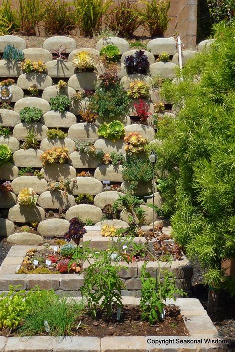 Vertical garden, seasonalwisdom.com | Vertical succulent gardens ...