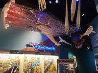 Illinois State Museum (Springfield) - All You Need to Know BEFORE You Go