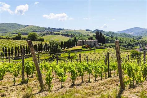 Florence: Chianti Wineries Tour with Food and Wine Tasting | GetYourGuide