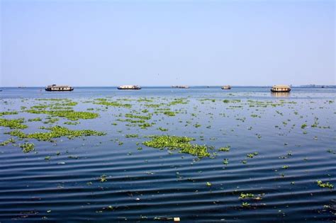 Alleppey, Kerala : r/IndiaSpeaks