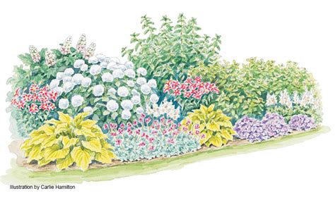 Four-Season Hydrangea Border | Garden Gate