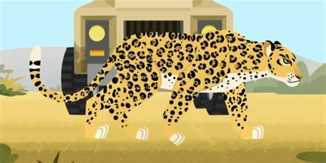 African Leopard | Wild kratts, Animals wild, African leopard