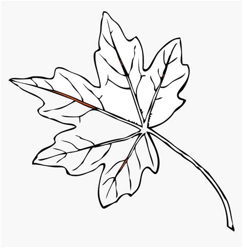 Transparent Leaves - Papaya Leaves Black And White, HD Png Download , Transparent Png Image ...