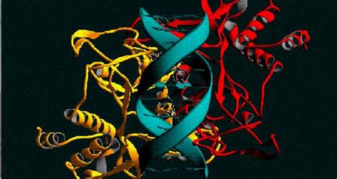 Septic system enzymes