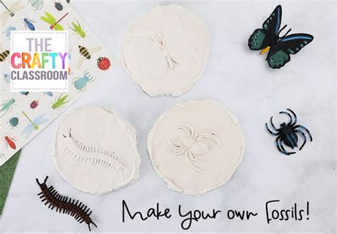 How to Make a Fossil | Archaeology for kids, Diy fossils, Crafts for kids