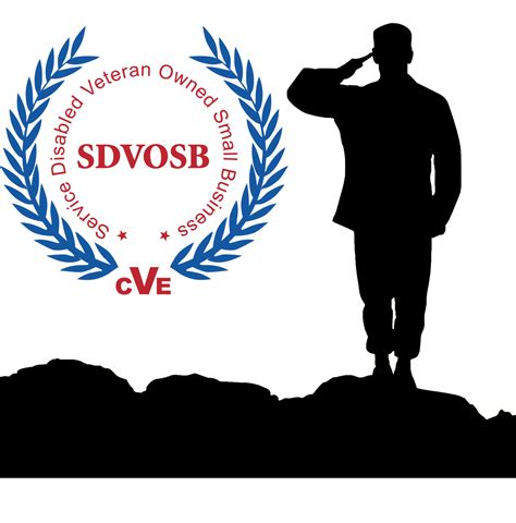 SDVOSB - Dynamic Solutions Technology