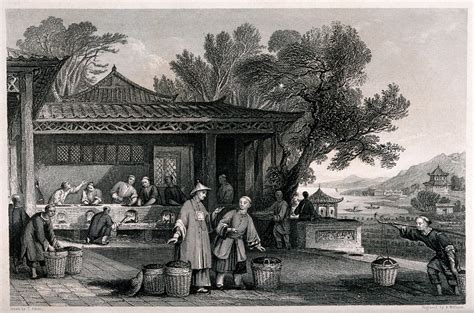 A Chinese tea plantation with workers carrying and firing the tea. Engraving by A. Willmore, c ...