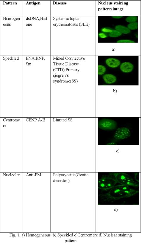 Figure 1 from Automatic classification of ANA HEp-2 Immunofluorescence images based on the ...