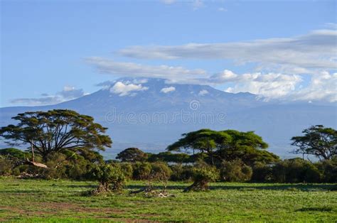 View of the Kilimanjaro in Amboseli NAtional Park, Kenya, Africa Stock ...