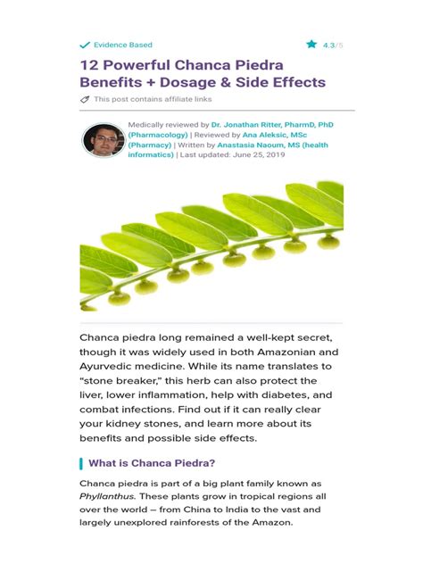 12 Powerful Chanca Piedra Benefits Dosage & Side Effects - SelfHacked | PDF | Cholesterol ...