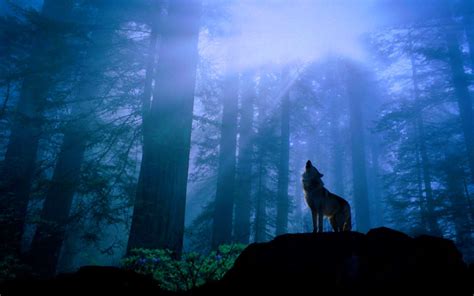 Wolf Howling Wallpapers - Wallpaper Cave
