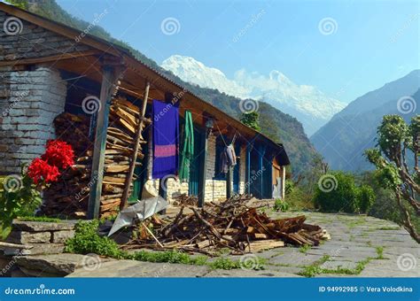 A Gurung Village Between Rice Fields In The Himalayas, Nepal Royalty ...