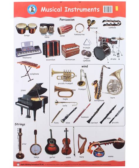 Instruments Their Names at Antoinette Hardy blog