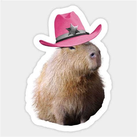 Capybara Wearing Pink Cowboy Hat - Capybara Wearing Pink Cowboy Hat - Sticker | TeePublic