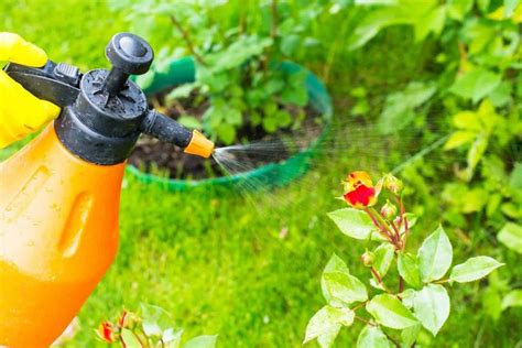 Best Vegetable Garden Insect Spray with Spinosad - Hort Zone