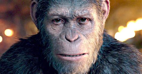 Andy Serkis Becomes Caesar in War for the Planet of the Apes Preview