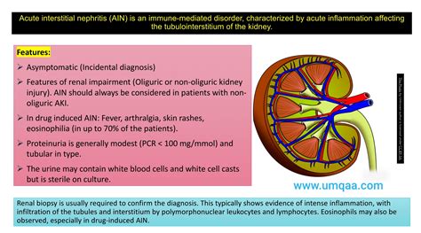 What are the causes of acute interstitial nephritis (AIN)?