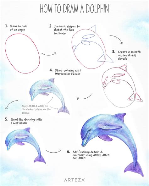 Dolphin Drawing Step By Step | PeepsBurgh